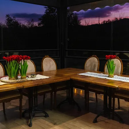 Bujtina E Diellit Boutique Villa *